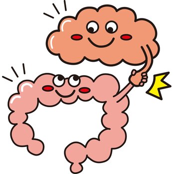 脳と腸の関わり！！